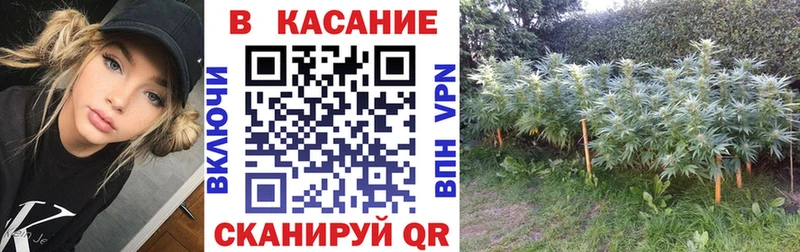 Где купить наркоту Пушкино LSD-25 Мефедрон Cocaine Alpha PVP ГАШИШ Марихуана