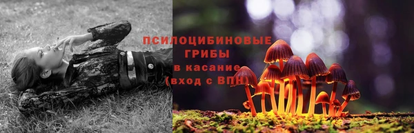 jwh Аркадак