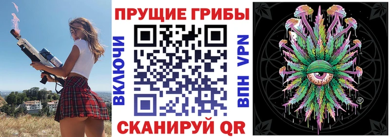 Псилоцибиновые грибы прущие грибы  это как зайти  Пушкино 